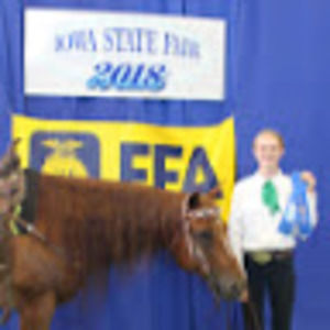 Meet your Posher, Riley